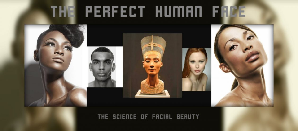 THE PERFECT HUMAN FACE